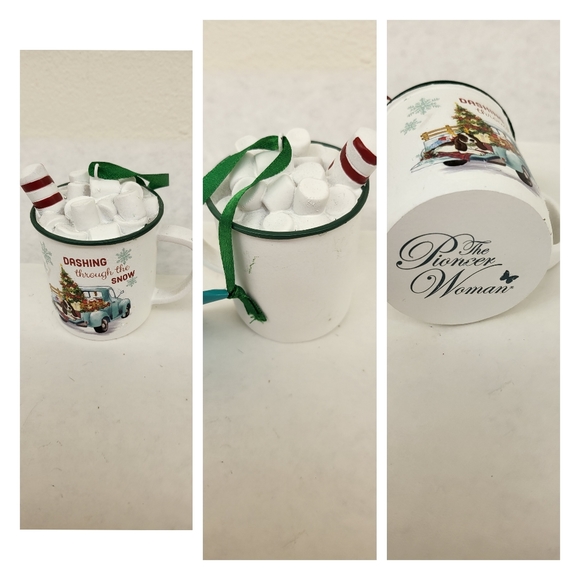 THE PIONEER WOMAN CHRISTMAS ORNAMENTS SET 9x - Picture 8 of 10